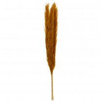 3 PLUMES PAMPA SÉCHÉES 109CM OCRE