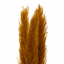 3 PLUMES PAMPA SÉCHÉES 109CM OCRE