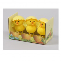 Poussin jaune dans coquille