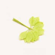 36 FEUILLES TISSU - MENTHE