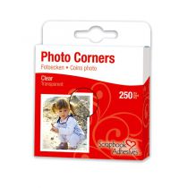 3L COINS PHOTO TRANSP. 250PC