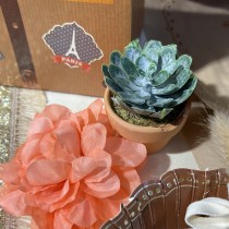 4 PIVOINES ARTIFICIELS 9X9CM CORAIL