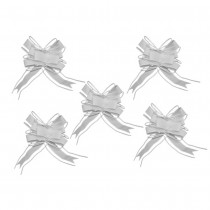 5 N?\'UDS À TIRER ORGANZA 15X23CM BLANC