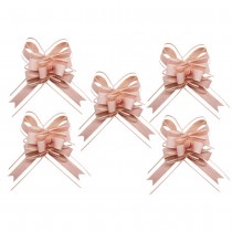 5 N?\'UDS À TIRER ORGANZA 15X23CM ROSE POUDRÉ