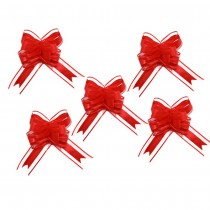 5 N?\'UDS À TIRER ORGANZA 15X23CM ROUGE