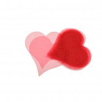 50 CŒURS ORGANZA ROUGE