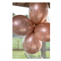 6 BALLONS LATEX PRINCESSE Ø30CM ROSE GOLD