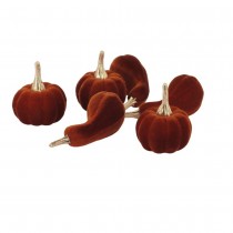 6 DÉCO COURGES VELOURS 3.5-5.5CM AMBRE