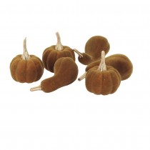 6 DÉCO COURGES VELOURS 3.5-5.5CM PISTACHE