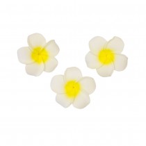 6 FLEURS DE MONOÏ ADHÉSIVES 5 CM BLANC