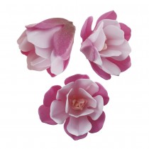 6 FLEURS MAGNOLIA COMESTIBLES 7CM ROSE