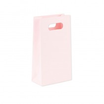 6 SACHETS GOODIES ROSE POUDRE 10X18X5CM