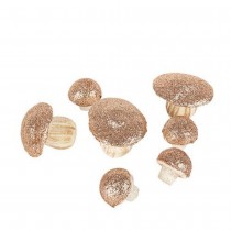 7 CHAMPIGNONS MOUSSE PAILLETTE 3.5-6.5CM ROSE GOLD