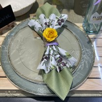 8 ASSIETTES CARTON OLIVIER 23CM VERT-DE-GRIS