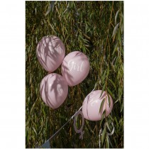 8 BALLONS LATEX BABY SHOWER GIRL Ø23CM ROSE