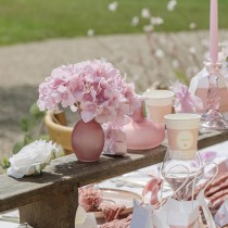 8 GOBELETS CARTON BAPTÊME 25CL ROSE
