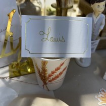 8 GOBELETS CARTON ÉPIS DE BLÉ 25CL BLANC