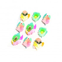 9 STICKERS PLUMES GYPSY 5 X 3 CM