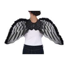 AILES ANGE NOIR 43CMX1M ARGENT