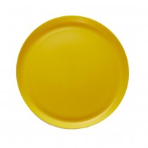 ASSIETTE RÉUTILISABLE 25CM