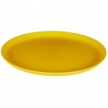 ASSIETTE RÉUTILISABLE 25CM