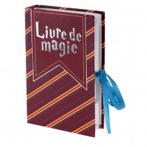 BOÎTE LIVRE DE MAGIE APPRENTI SORCIER 16X10X3CM