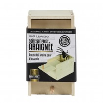 BOÎTE SURPRISE ARAIGNÉE