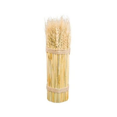 BOTTE ÉPI DE BLÉ NATUREL 8X26CM