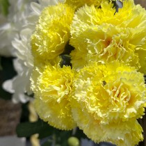 BOUQUET 6 TIGES ŒILLET ARTIFICIEL 30CM JAUNE