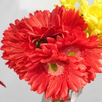 BOUQUET DE 7 FLEURS GERBERA DE 26CM