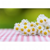 BOUQUET MARGUERITES ARTIFICIELLES 27CM BLANC