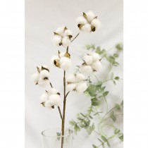 BRANCHE SÉCHÉE 7 FLEURS DE COTON 68CM BLANC