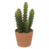 CACTUS POT TERRE CUITE TERRA ALI 12X30CM