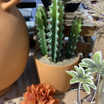 CACTUS POT TERRE CUITE TERRA ALI 12X30CM