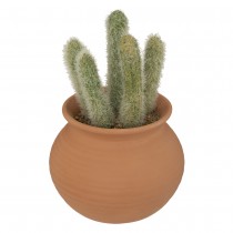 CACTUS POT TERRE CUITE TERRA ALI 17X8CM