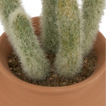 CACTUS POT TERRE CUITE TERRA ALI 17X8CM