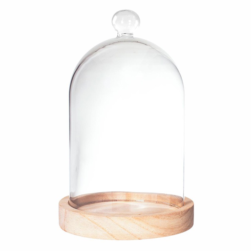 Cloche en verre avec plateau en bois, 15 cm de diamètre, Verre