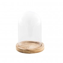 CLOCHE VERRE SUR SUPPORT BOIS PAULOWNIA 14X21CM