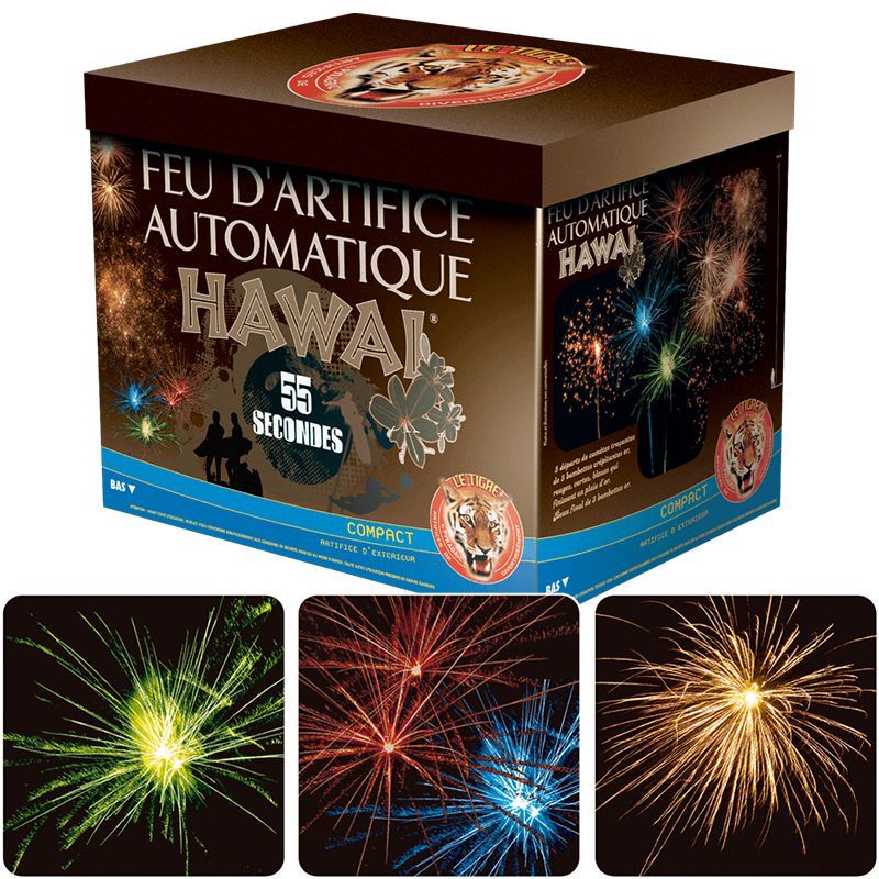 COMPACT HAWAI 28 COUPS 55 SECONDES - F2