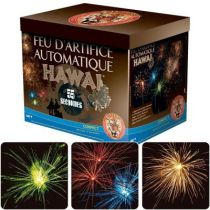COMPACT HAWAI 28 COUPS 55 SECONDES