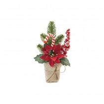 COMPO POINSETTIA SUCRE ORGE SAC JUTE 23X10X7CM