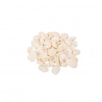 COQUILLAGES COQUES MER 100G 2-3CM BLANC