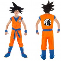 DÉGUISEMENT SANGOKU GARÇON