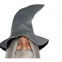 DÉGUISEMENT SORCIER VIEUX SAGE FANTASY ADO