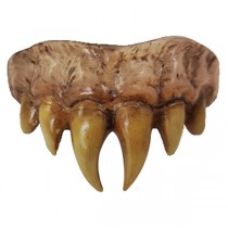 DENTIER VAMPIRE MAÎTRE SOUPLE RÉUTILISABLE ADULTE