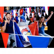DRAPEAU ALLEZ LA FRANCE 90X150CM