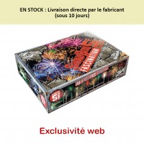 Artifices exclu web