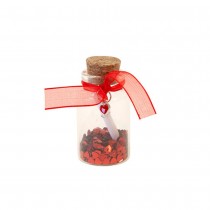 FIOLE VERRE MESSAGE PETITS CURS 5.5X3CM ROUGE