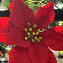 GUIRLANDE ARTIFICIELLE POINSETTIA 1.7M ROUGE