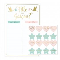 JEU ANIMATION STICKERS VOTE GENDER REVEAL